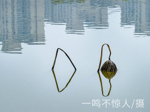 城市風光 (11) 城市風光 (11)