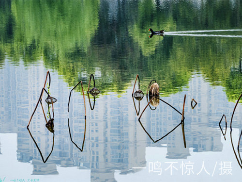 城市風光 (12)